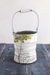 Fruit Tree Bucket (Small/Large - in 4 fantastic fruits!) - L-XR6