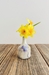 Seasons Single Stem Vase - 