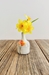 Seasons Single Stem Vase - 